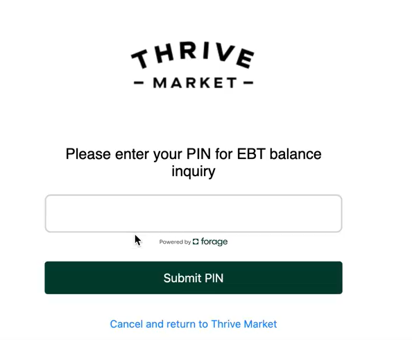 ebt 4 digit pin page.png